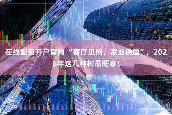 在线配资开户官网 “客厅见树，家业稳固”，2026年这几种树最旺家！